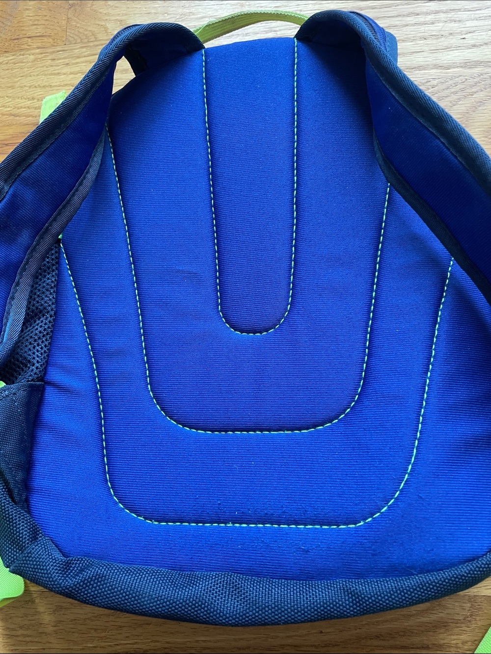 The North Face Kids Sprout Backpack in Blue and Lime - Picture 9 of 16